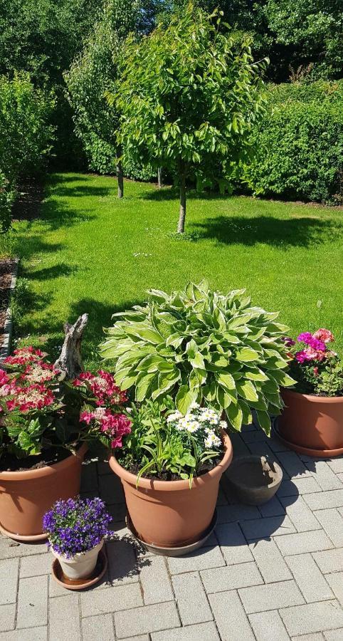 Ferienresidenz Naturoase Krakow am See Exterior foto